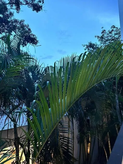 Anah Oasis Tulum Apartment Chacalal